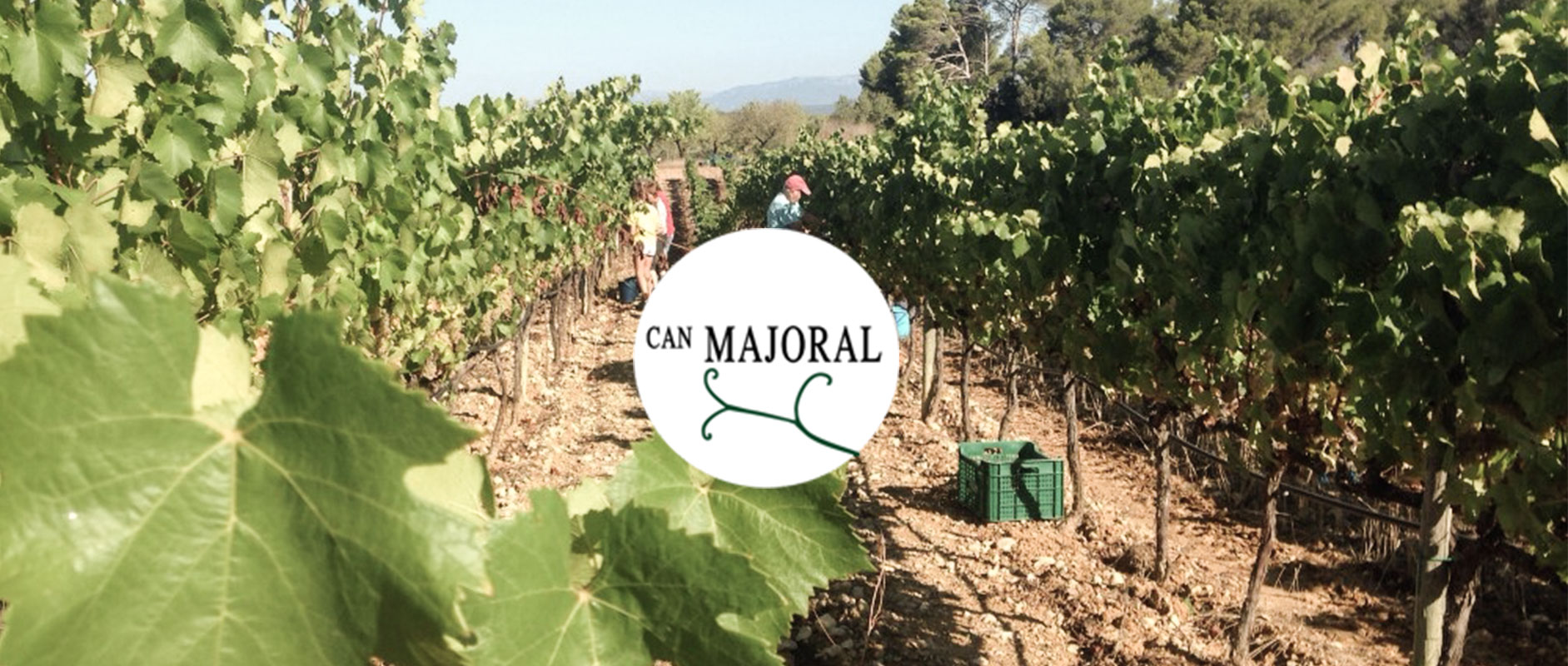 I-L-CASA_can_majoral