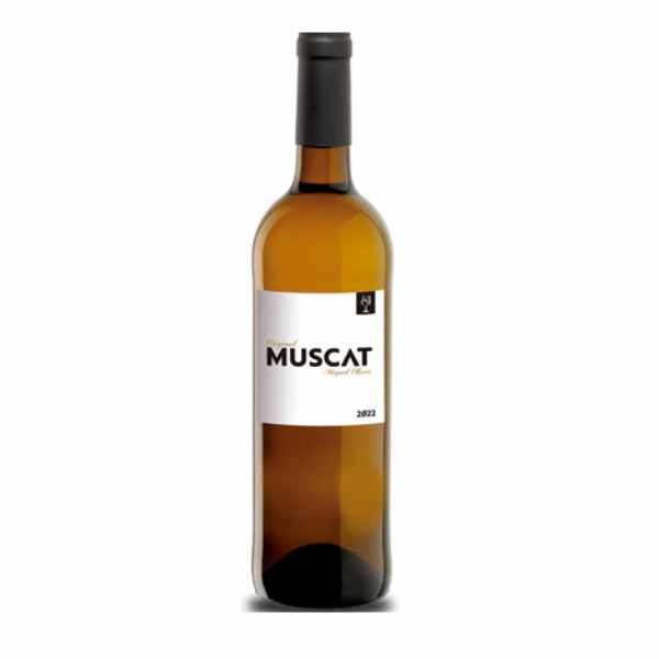Muscat 2022