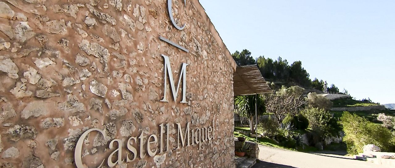 Mallorca Online Shop Weingut Castell Miquel